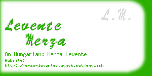 levente merza business card